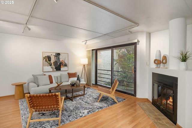 living room with track lighting and wood-type flooring