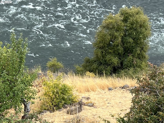 view of local wilderness with a water view