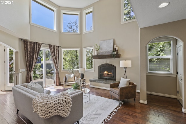 living room with a high ceiling and dark wood-type flooring