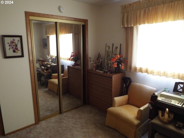 sitting room featuring plenty of natural light and carpet floors