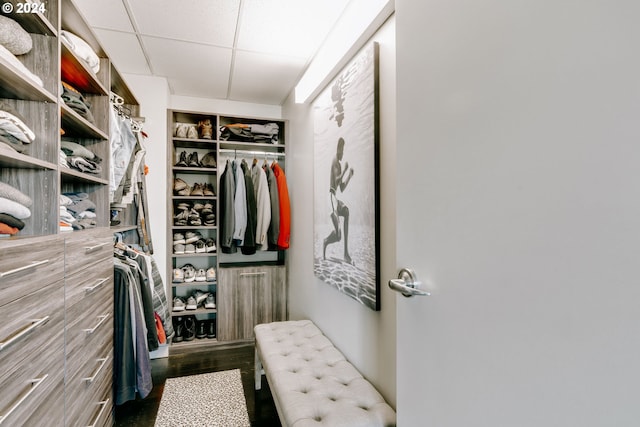 spacious closet with a drop ceiling and dark hardwood / wood-style flooring