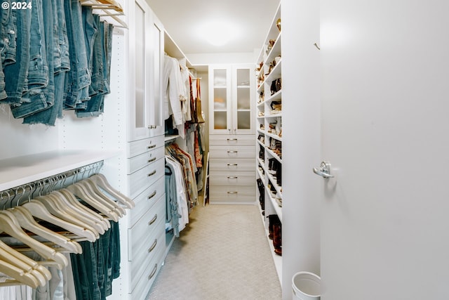 1930 S River Dr Unit W107, Portland, OR 97201 - walk in closet featuring light carpet