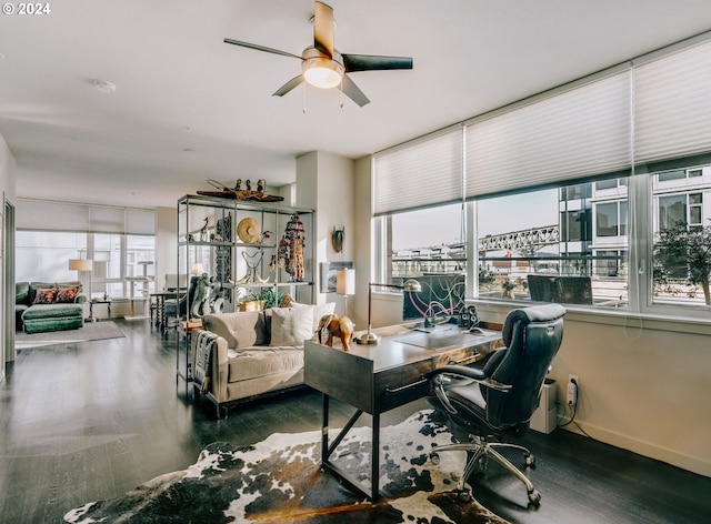 office area featuring plenty of natural light, ceiling fan, and dark hardwood / wood-style flooring