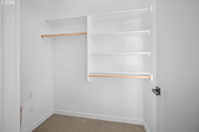 spacious closet featuring carpet