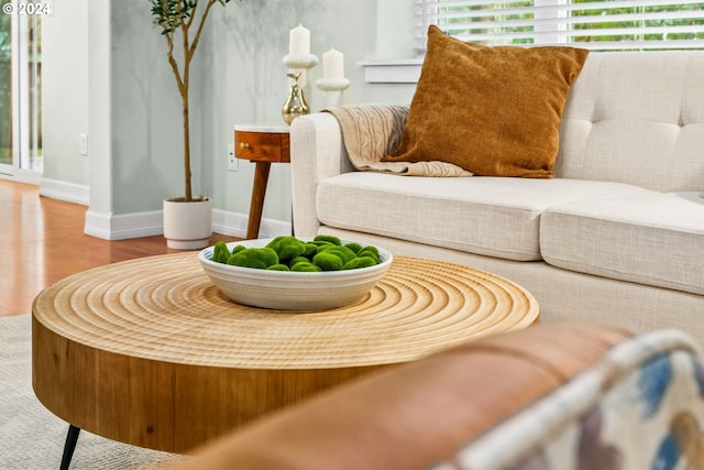 room details with hardwood / wood-style flooring