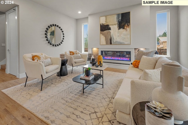 living room featuring light hardwood / wood-style floors