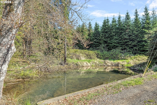 11635 NW Seavey Rd, Forest Grove, OR 97116 - water view