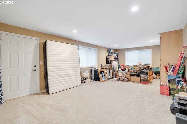 playroom with carpet flooring and a wealth of natural light