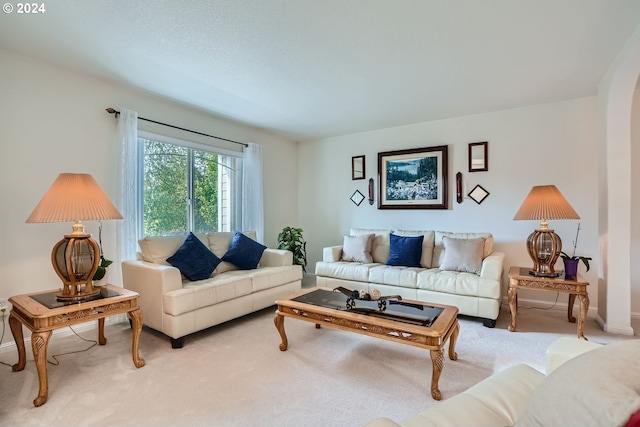 living room featuring light carpet