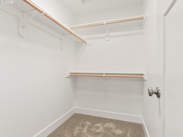 walk in closet featuring carpet flooring