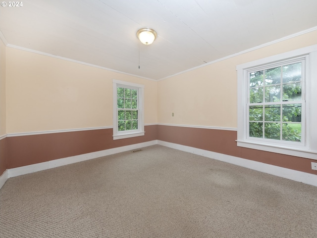 carpeted empty room featuring crown molding