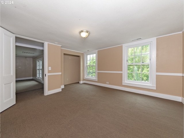 spare room featuring carpet flooring and a wealth of natural light