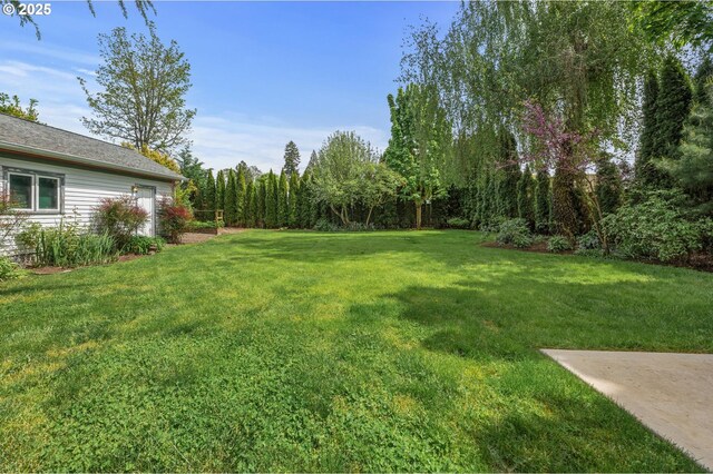 view of yard