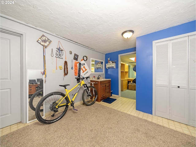 miscellaneous room with sink, carpet, and a textured ceiling