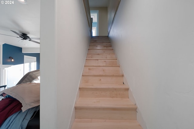 stairway featuring hardwood / wood-style flooring and ceiling fan