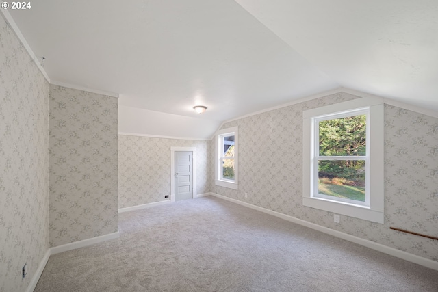 additional living space featuring carpet, plenty of natural light, and lofted ceiling