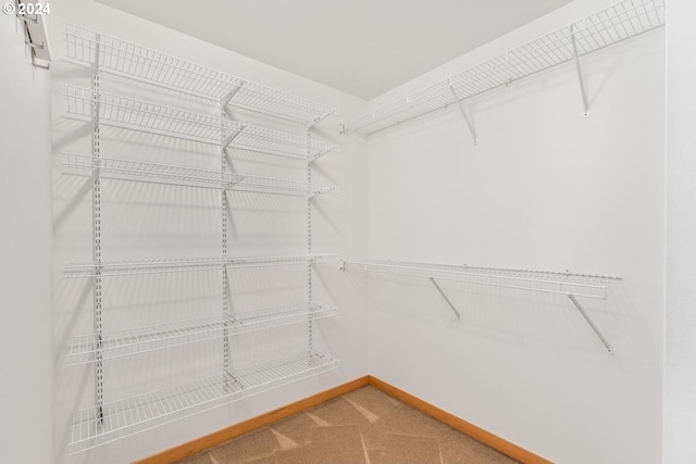 spacious closet with carpet flooring