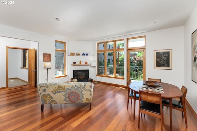 living room featuring wood-type flooring