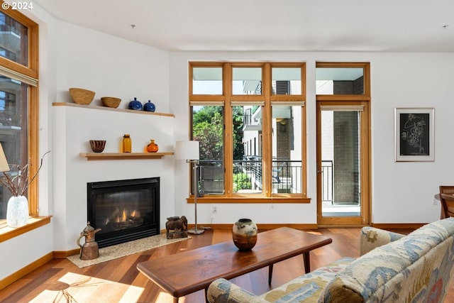 living room featuring light hardwood / wood-style flooring