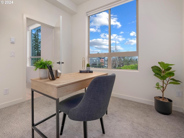 office featuring light colored carpet