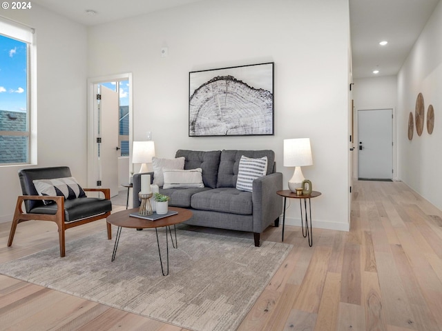 living room with light hardwood / wood-style floors