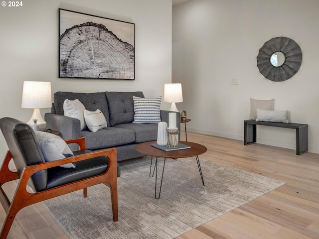 living room featuring light wood-type flooring