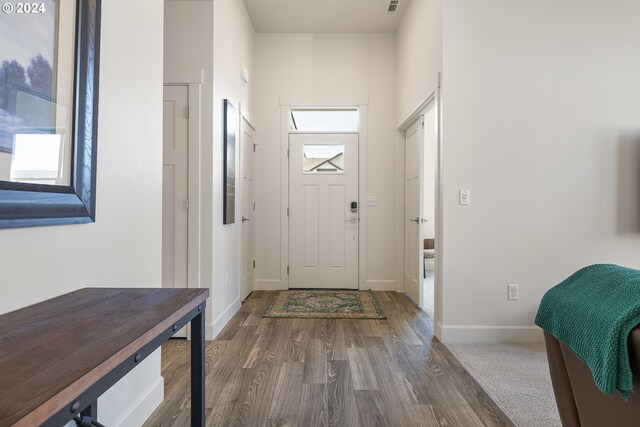 foyer featuring dark wood-type flooring