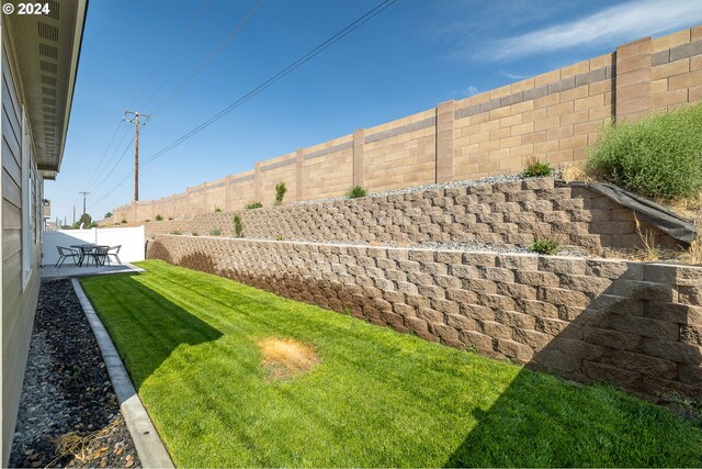 view of yard featuring a patio