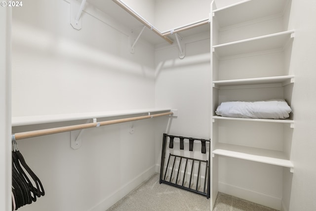 spacious closet featuring light carpet