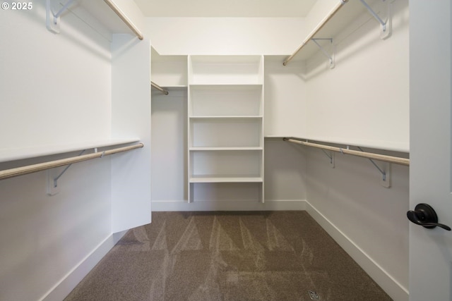 walk in closet featuring dark colored carpet