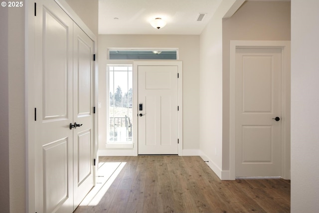 foyer entrance with wood-type flooring