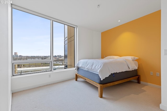 bedroom with carpet floors