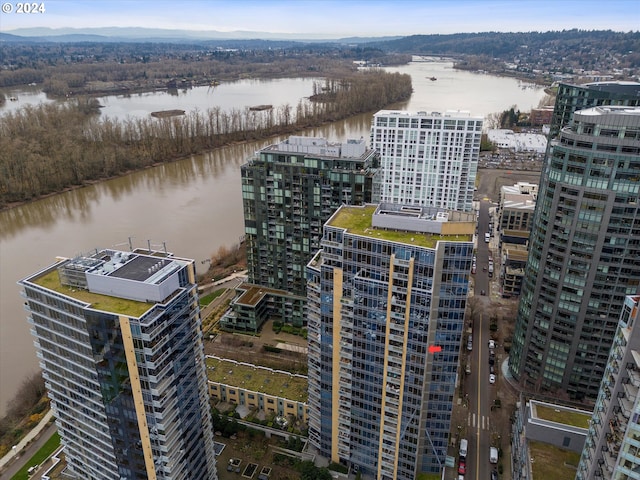 bird's eye view with a water view