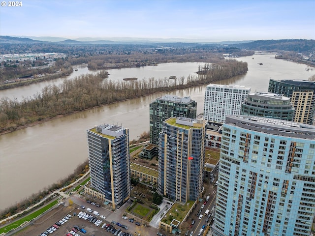 bird's eye view with a water view