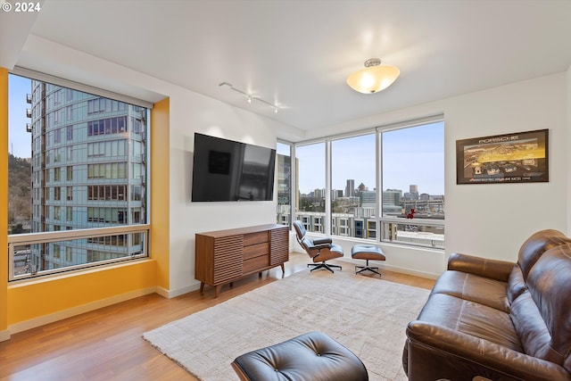 living room with light hardwood / wood-style floors and a healthy amount of sunlight