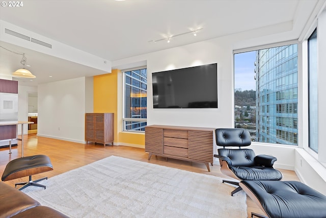 living room featuring light wood-type flooring and track lighting