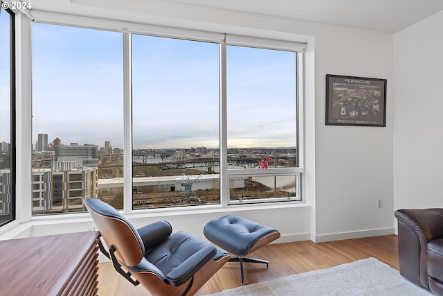 sitting room with light hardwood / wood-style floors