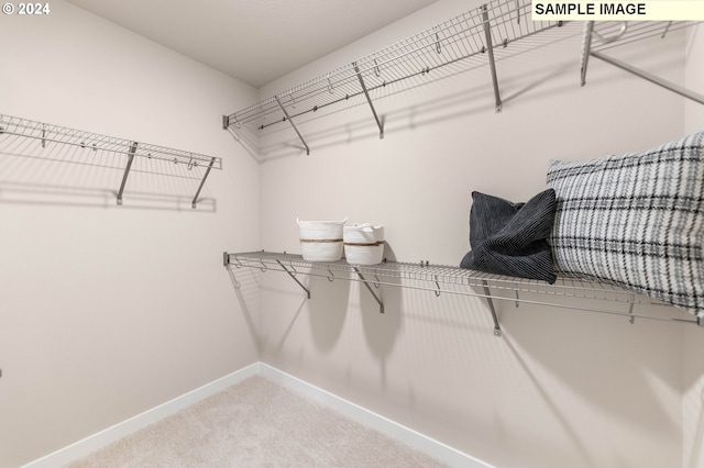 spacious closet with carpet flooring