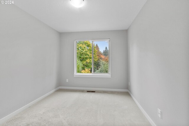 unfurnished room with light colored carpet