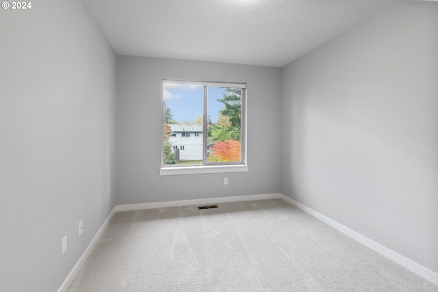 unfurnished room with a textured ceiling and carpet floors