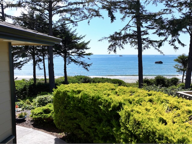 water view with a view of the beach