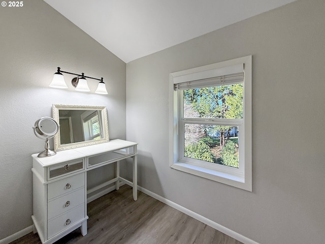 bathroom featuring vaulted ceiling and wood-type flooring