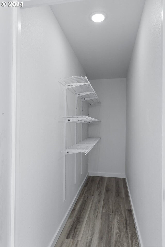 spacious closet featuring dark hardwood / wood-style flooring