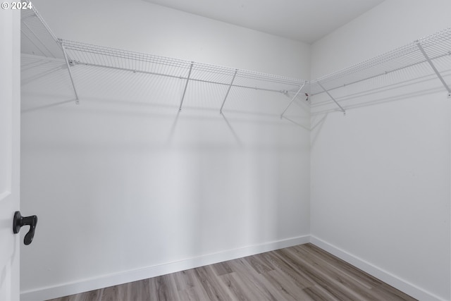 spacious closet featuring hardwood / wood-style flooring