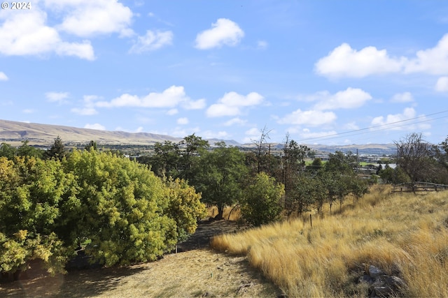 view of landscape featuring a mountain view and a rural view