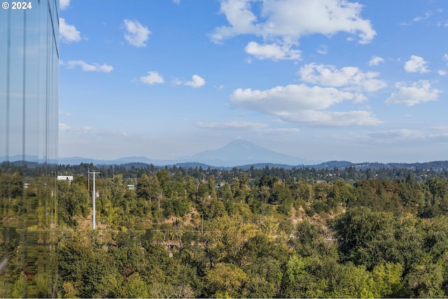 property view of mountains