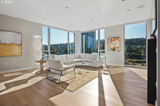 living room featuring light hardwood / wood-style flooring and a wealth of natural light