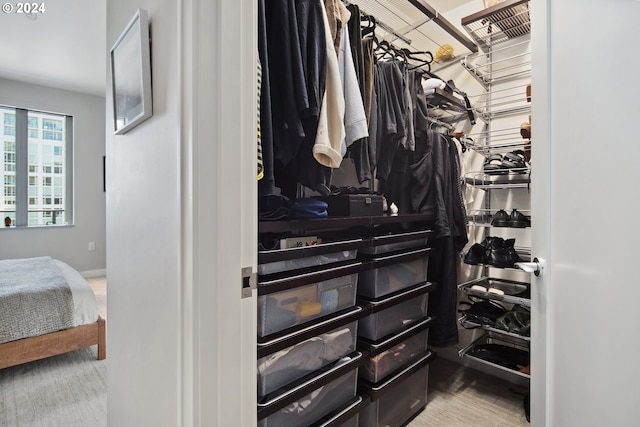 walk in closet with carpet floors