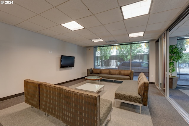 carpeted living room featuring a wall of windows