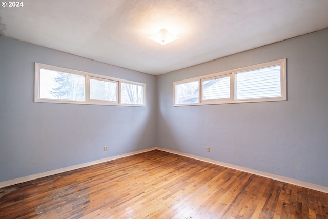 spare room with wood-type flooring